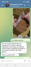 Screenshot_20250825_132612_Telegram.jpg