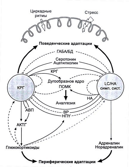 WVL_-ctL7uA.jpg